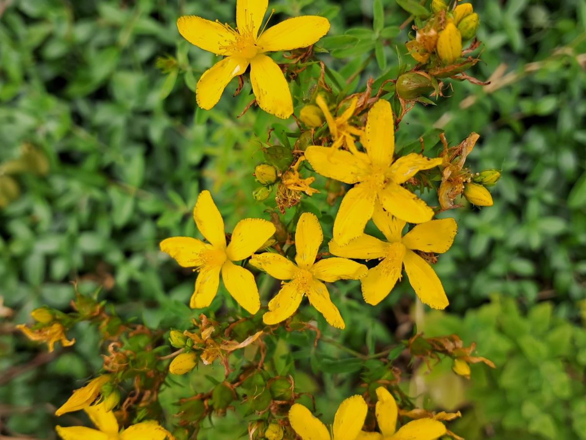 springtime changes: incall&nbsp;available!